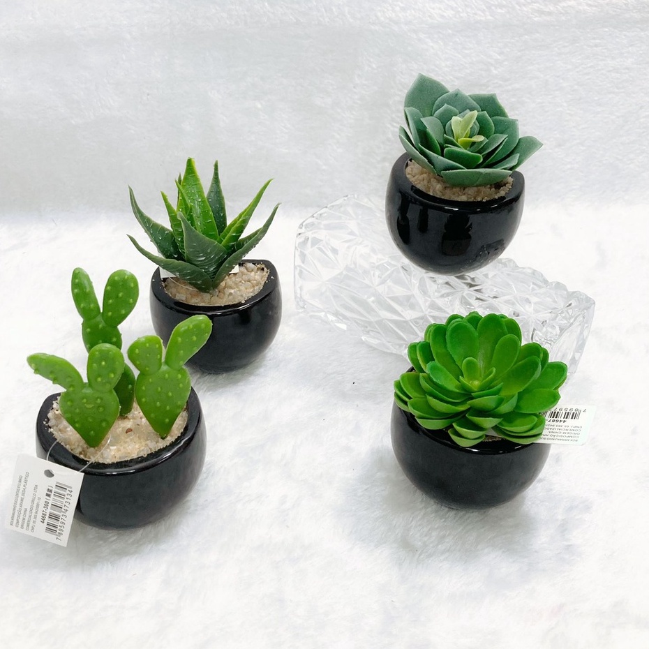Vaso De Cerãmica Suculenta Plantas Artificial Verdes Com imã, adesivo  geladeira, freezer, metal,9-12x6cm | Shopee Brasil