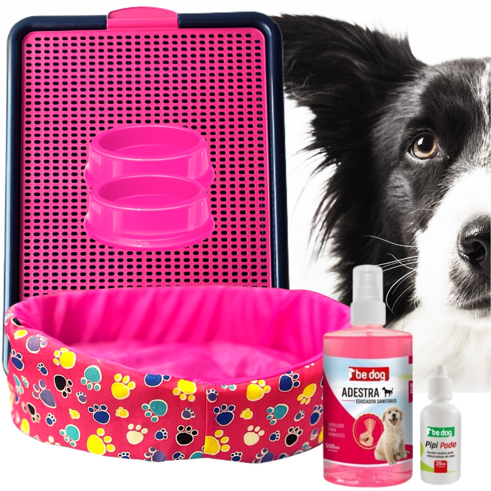 Caminha Para Caes e Cachorros Europa 45cm + Educador Para Cães Spray