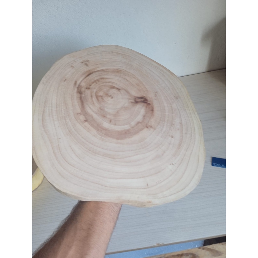 Bolacha de madeira lixada sem casca 100% natural diametro 28cm 40cm