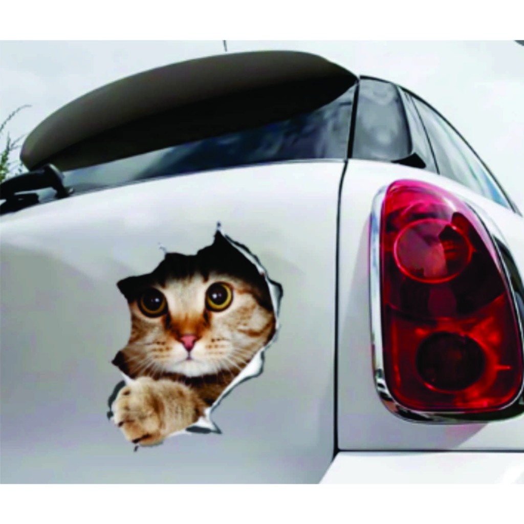 adesivo decorativo  gato fujão carro  (cat car)