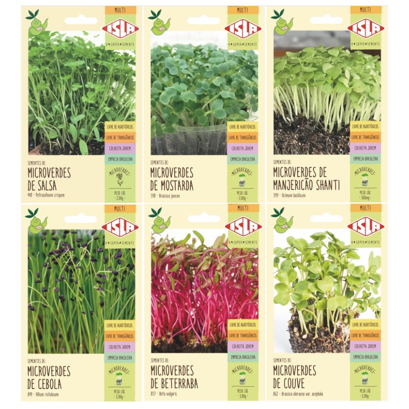 Semente Cebola: Guia Completo e Onde Comprar | BuscaProdutos