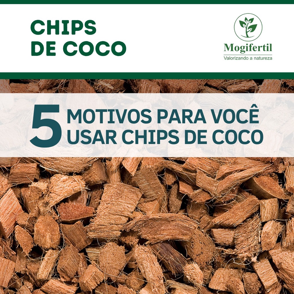 Chip de coco para Orquídeas flores plantas