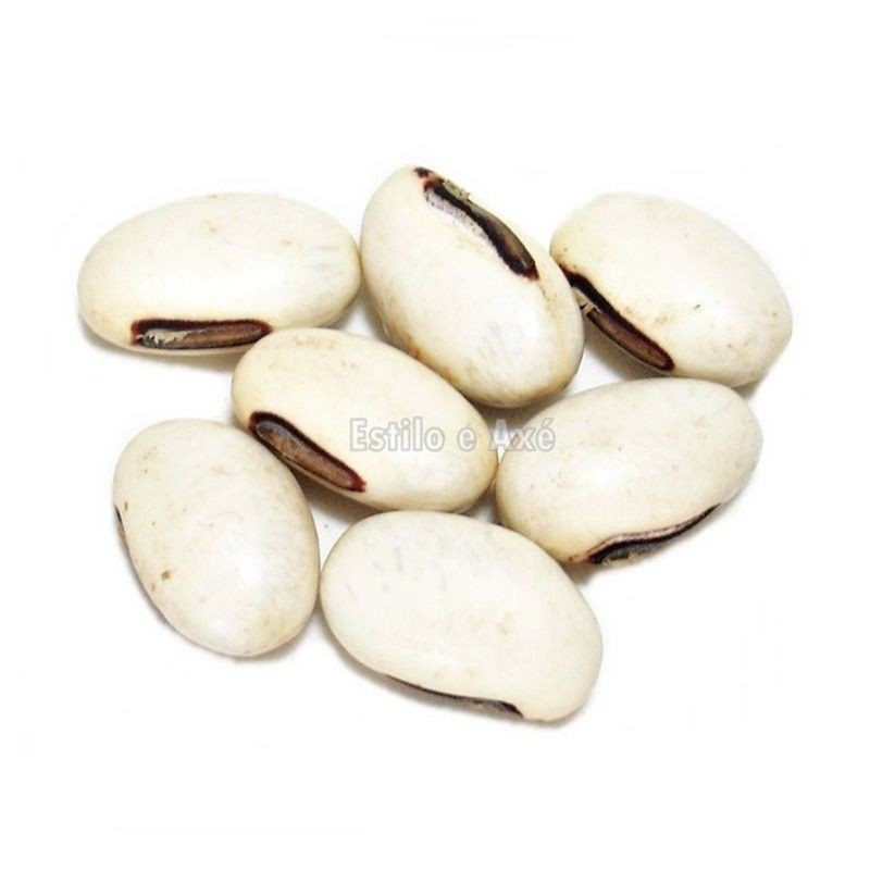 Fava de Oxalá - Kit 3 Unidades Orixá Umbanda e Candomblé