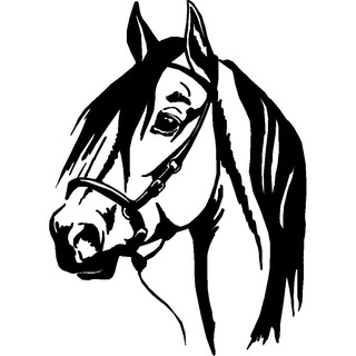 Adesivo Cavalo Detalhado Hipismo Montaria Animal de Estimação Competição Carro Caminhonete Carreta em Oferta na Shopee