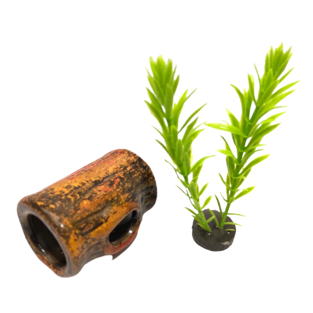 Tronco Aquário: Guia Completo e Onde Comprar | BuscaProdutos