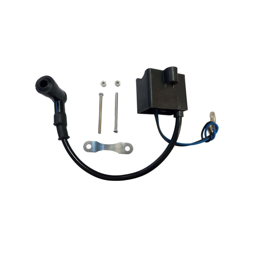 Bobina Bicicleta Motorizada 80cc: Onde Comprar | BuscaProdutos