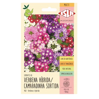 Sementes Verbena Camaradinha Sortida ISLA