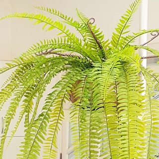 Buquê de samambaia 54cm grande paulistinha americana artificial arranjo jarro