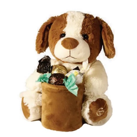 Pote Cacau Show: Onde Comprar | BuscaProdutos