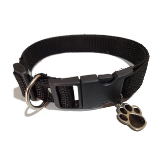 Coleira para cães de médio porte com regulagem até 55cm