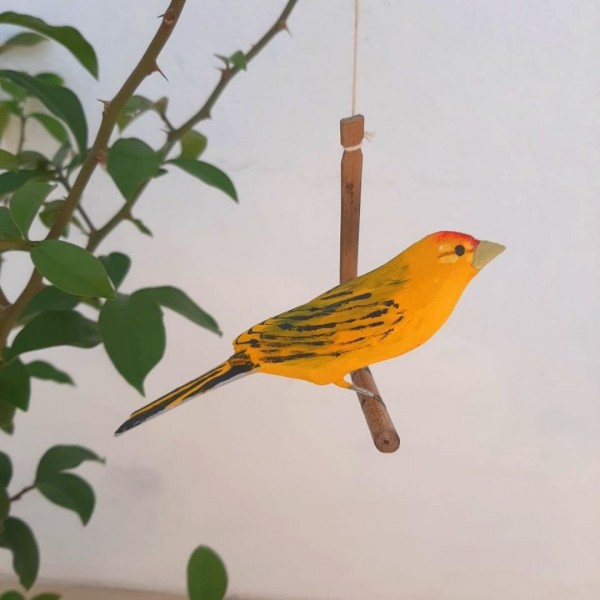 Pássaro de Madeira Canário da Terra em Oferta na Shopee