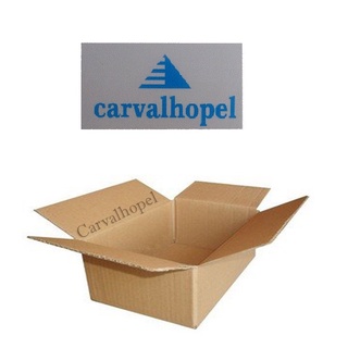 50 Caixas de papelão Maleta C20XL20XA20