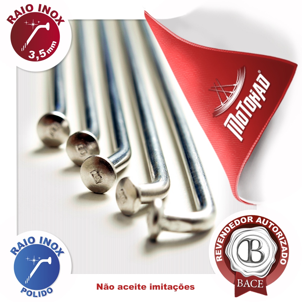 Jogo de Raio Inox Bace XLX 250 Dianteiro 3,5mm