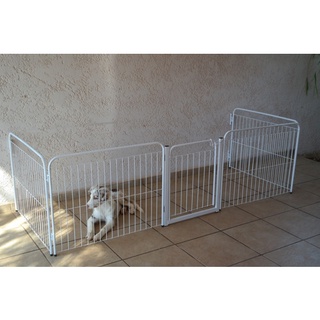 Cercado Grade Canil 4/65 Com Portão BRANCO