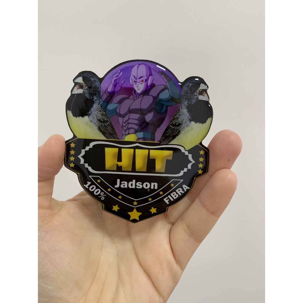 Placa de gaiola para pássaro personalizada resinada; desenho, dragon placa para coleiro, placa de trinca ferro, placa de azulão, placa de curió, placa de tiziu, placa para galo de campina, placa para bigodinho, placa para sibite, placa para todas espécies