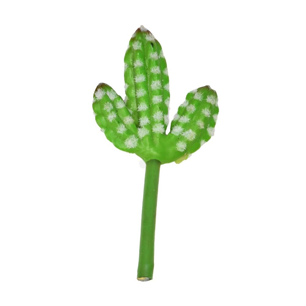 Suculenta Cacto (verde) 10cm (florarte) Vol. 9