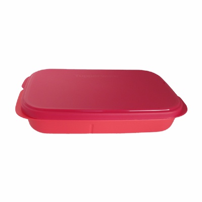 TUPPERWARE BASIC LINE SLIM COM DIVISÓRIAS 590ML