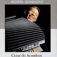 Cd Cezar Do Acordeon Respeita Gonzagao!