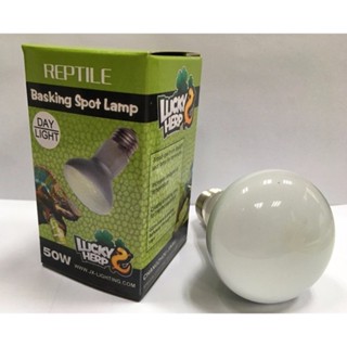 Lâmpada De Aquecimento + Uva 50w Para Répteis Repti Basking 127v em Oferta na Shopee