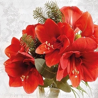 Guardanapo De Papel Amaryllis - Natal - UNIDADE