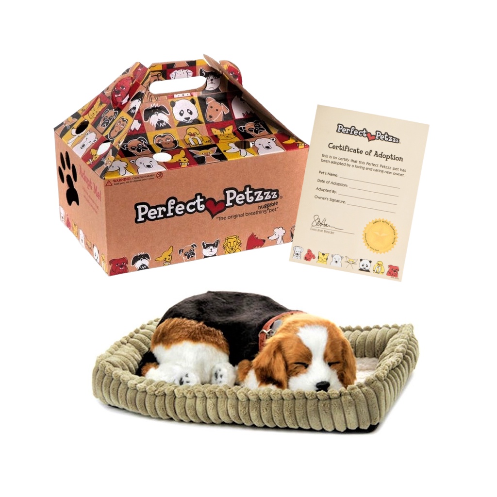 Cachorros Beagle: Onde Comprar | BuscaProdutos