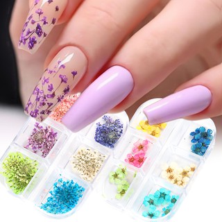 Monja Flor Seca Decoração Do Prego 3d Cor Natural Planta Pétala Folha Uv Gel Polonês Diy Manicure Acessórios