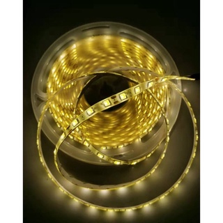 Fita Led  5050 Rolo 5 Metros 300 Leds Dupla Face Ip 20 Com/Sem fonte
