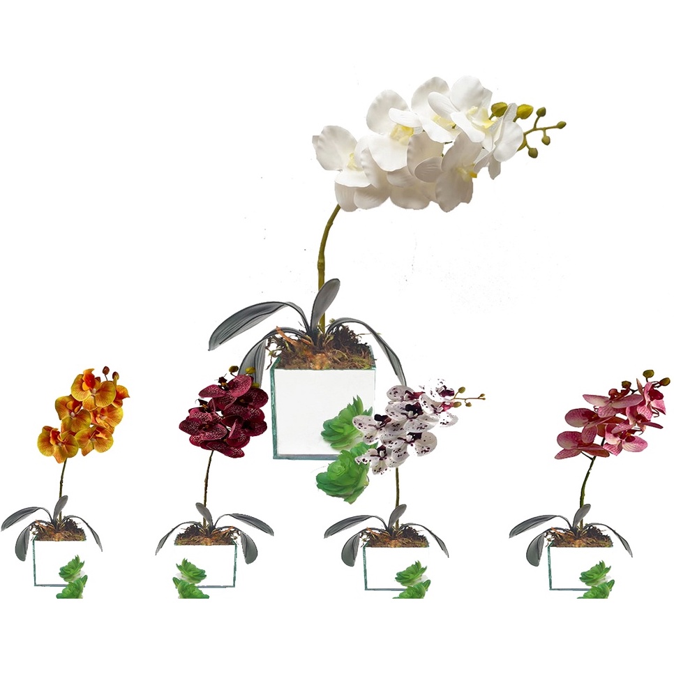 Arranjo De Orquídea Branca De Silicone No Vaso Vidro - Escorrega o Preço