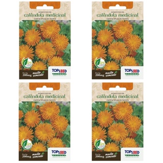4X Sementes Calêndula Medicinal TOPSEED em Oferta na Shopee