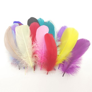 100 Pcs penas de ganso artificiais Artesanato DIY Party Wedding Decor Plume Natural Home Acessórios 15-20CM em Oferta na Shopee