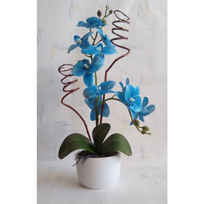 Arranjo De Orquídea Florianópolis Azul No Vaso Branco Redondo | Shopee  Brasil