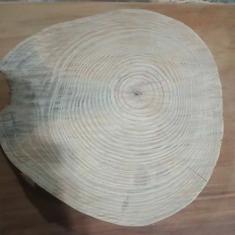Bolacha de madeira natural - Rústica - rachada para decoração de festa.