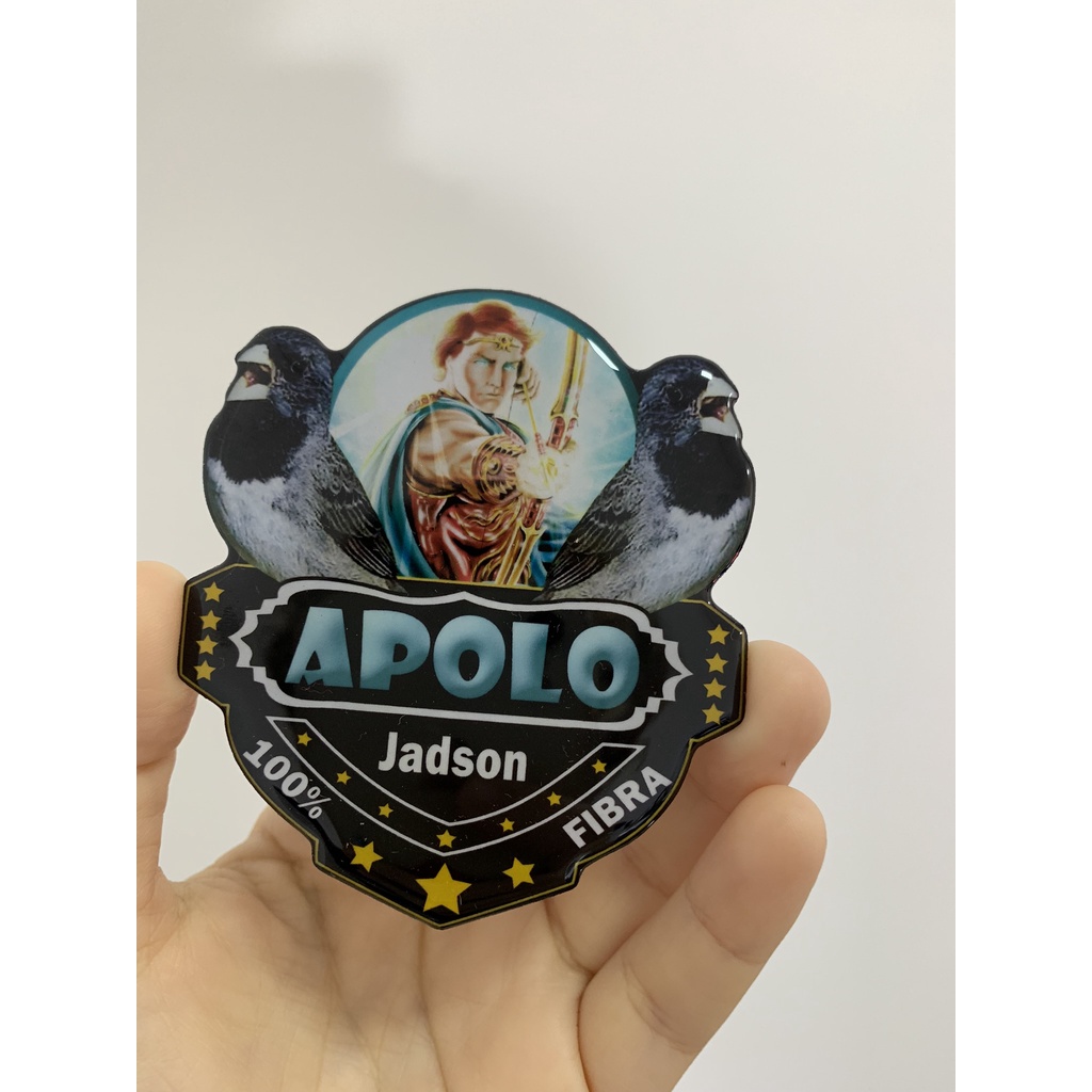 Placa personalizada para gaiola de pássaro; apolo placa para coleiro, placa de trinca ferro, placa de azulão, placa de curió, placa de tiziu, placa para galo de campina, placa para caboclinho, placa para sibite, placa para todas espécies de pássaros