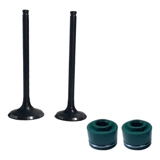 Kit Valvulas Admissão Escape e Retentores Cg 150 Titan Sport 2004 Ate 2008 Modelo Original
