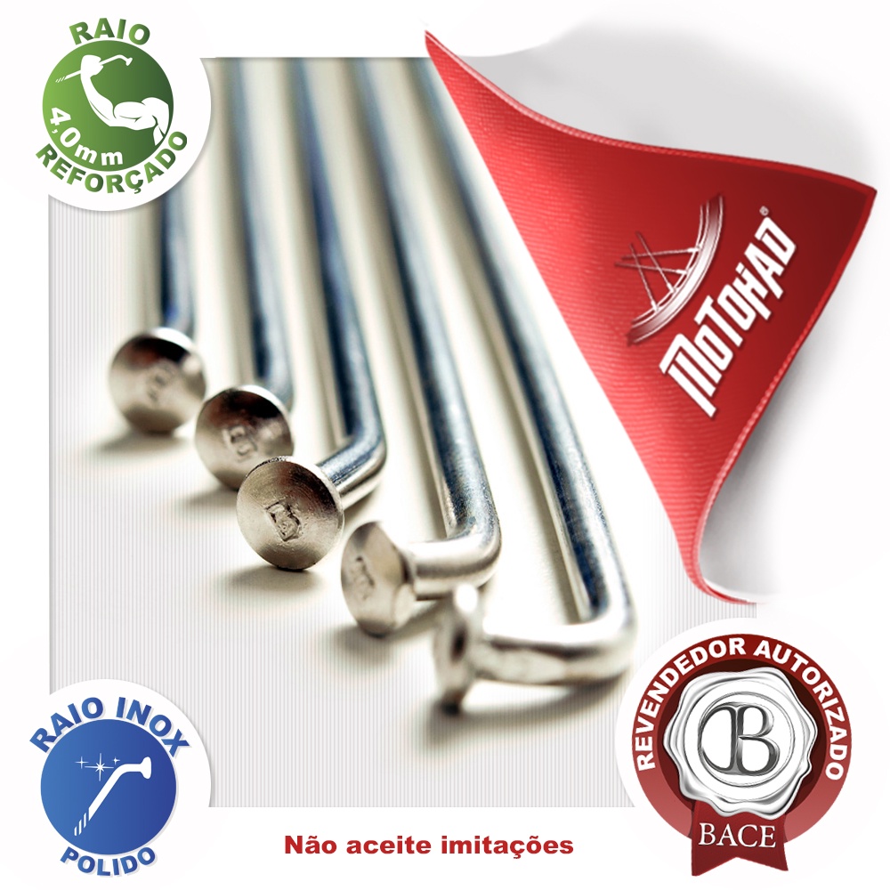 Jogo de Raio Inox Bace XLX 250 Dianteiro 4,0mm