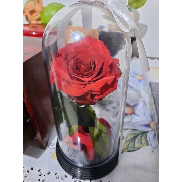 rosa giuliana flores | Shopee Brasil