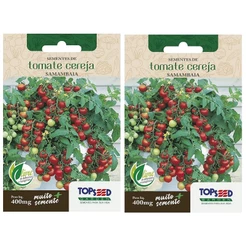 2X Sementes De Tomate Cereja (Samambaia) TOPSEED