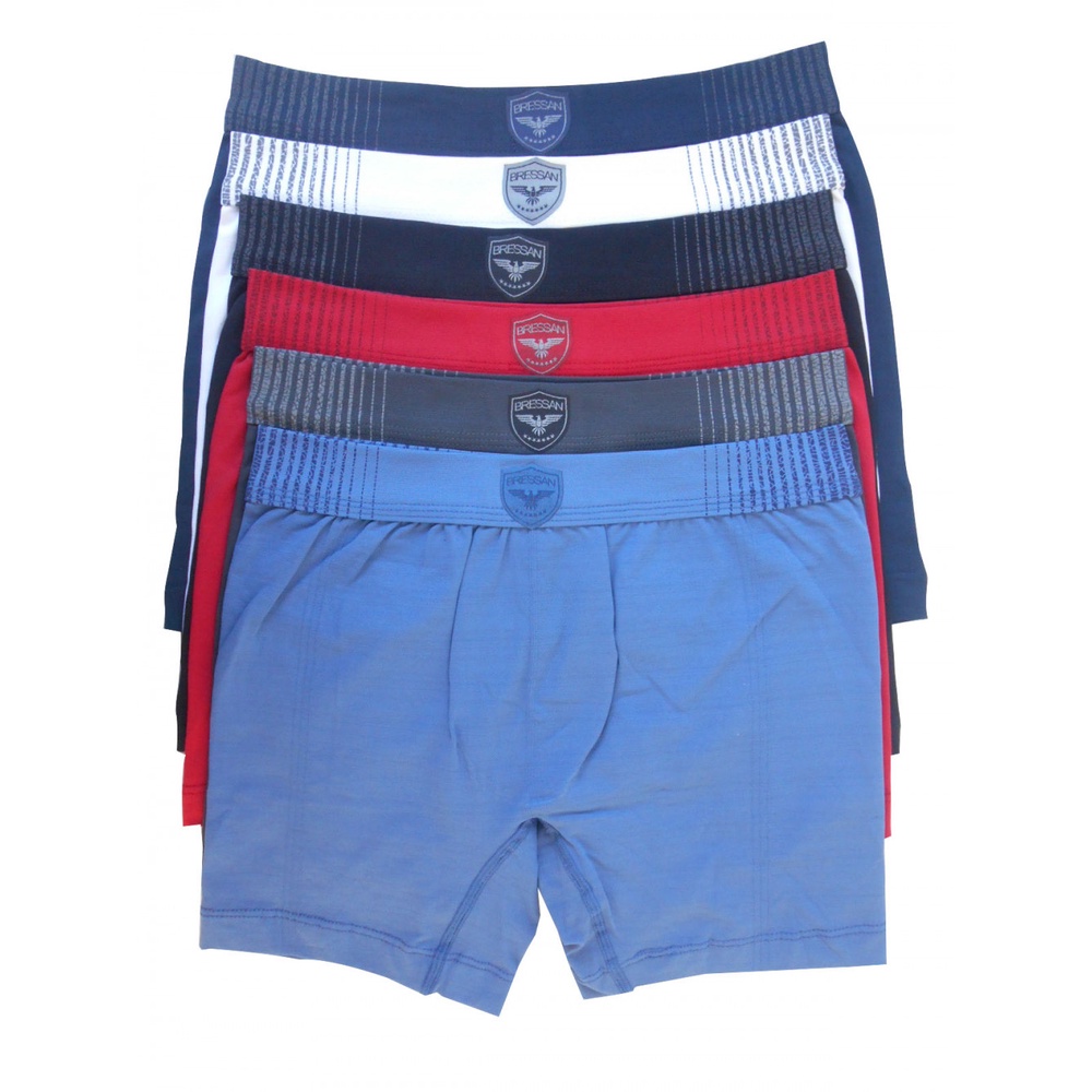 Cueca Boxer Sem Costura Bressan Microfibra Brasão Kit Com 6