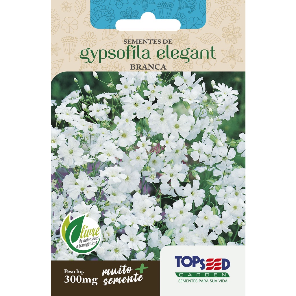 Sementes de Mosquitinho Branco (Véu de noiva) Flor Gipsofila Para Jardim