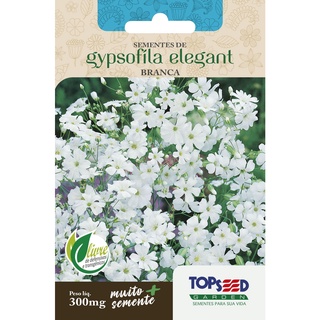 Sementes de Mosquitinho Branco (Véu de noiva) Flor Gipsofila Para Jardim