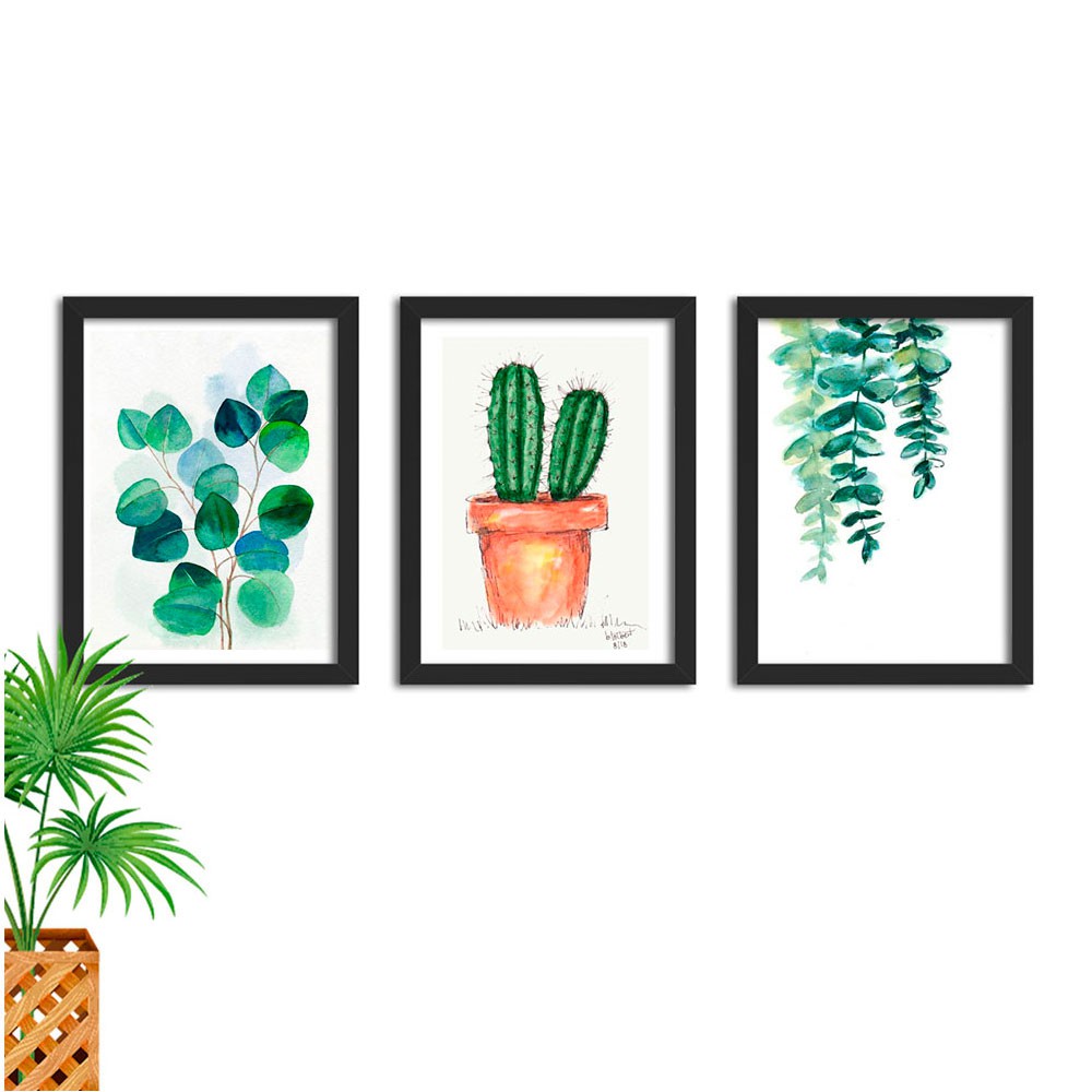 Kit 3 Quadros Decorativos Plantas Suculenta Cacto Samambaia Folhagem Botanico