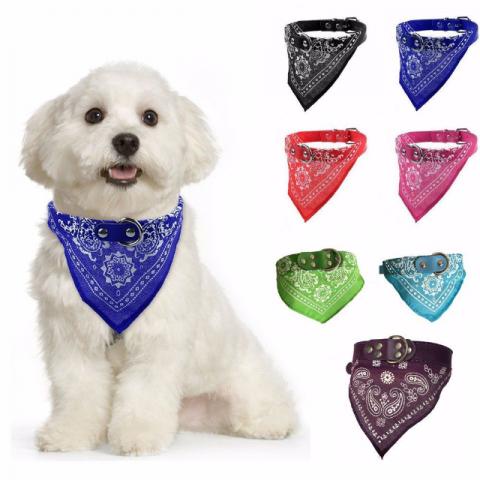 Coleira Com Bandana Para Gato/Cachorro Filhote em Oferta na Shopee