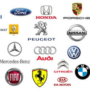 Araucaria_Acessorios