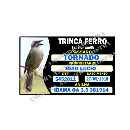 Placa identificação personalizada para gaiola de pássaros todas espécies trinca, coleiro, azulão, curió, bico pimenta, canário da terra e belga, galo de campina, sofrê, tiziu, etc.