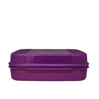 Tupperware Visual Box Uva 2,3 Litros | Shopee Brasil