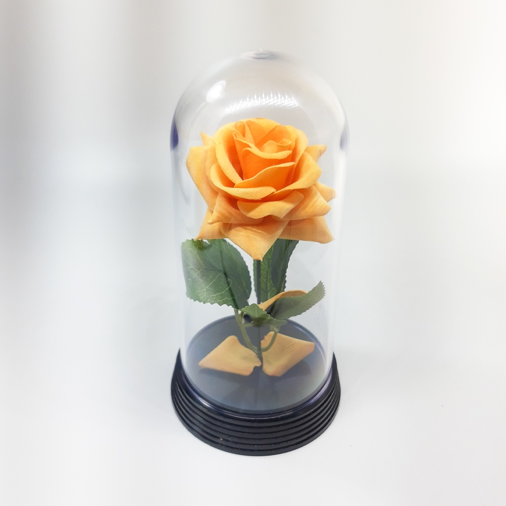 Linda Redoma com Rosa Laranja, inspirada na A Rosa Encantada do filme a A Bela e A Fera e do O Pequeno Príncipe