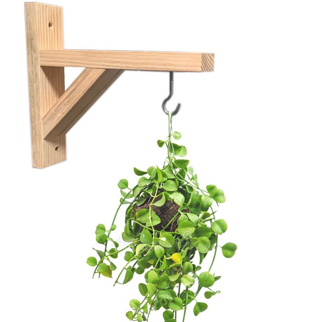 4 UNIDADES Mão Francesa PINUS Suporte Para Pendurar Vaso De Planta Na ...
