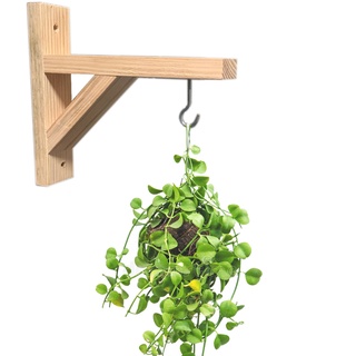 6 UNIDADES Mão Francesa PINUS Suporte Para Pendurar Vaso De Planta Na Parede Gancho