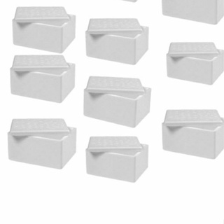 5un caixa pequena de isopor 500ml térmica em Oferta na Shopee