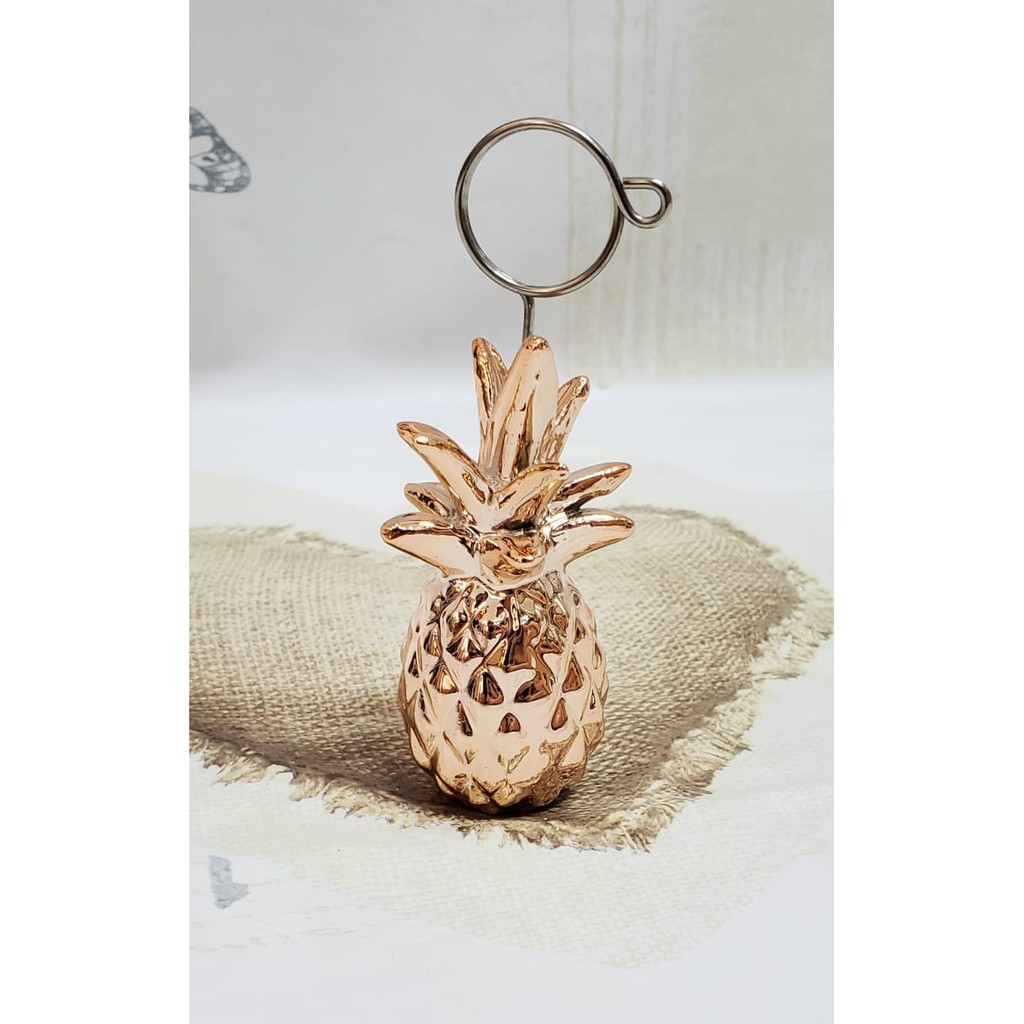 O que é Abacaxi Decorativo Planta? Guia e Onde Comprar | BuscaProdutos